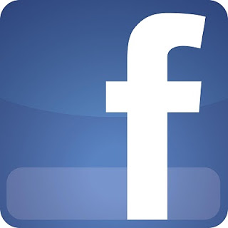 Facebook icon logo vector